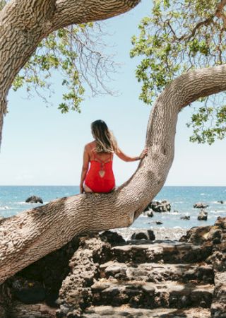 A person in a red swimsuit sits on a tree branch, overlooking a rocky shoreline and the ocean.