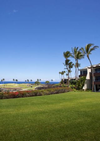 A scenic view shows a green lawn, a modern building with palm trees, and the ocean in the background under a clear blue sky.