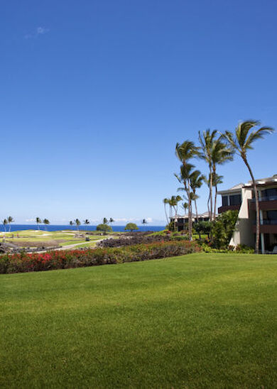 A scenic view shows a green lawn, a modern building with palm trees, and the ocean in the background under a clear blue sky.