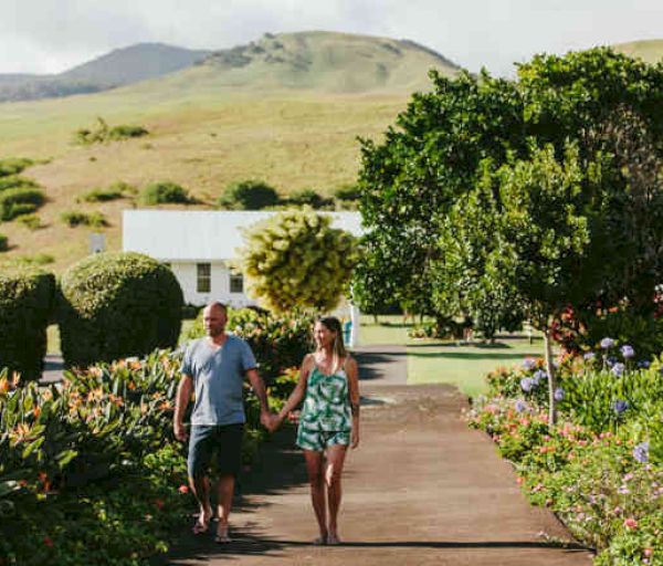 A couple is walking on a pathway surrounded by lush greenery and flowers with hills in the background.