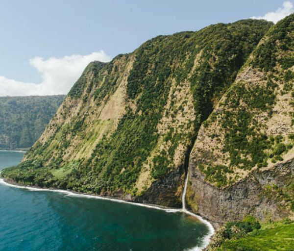 A coastal cliff covered in greenery with a small waterfall descending into the ocean below.