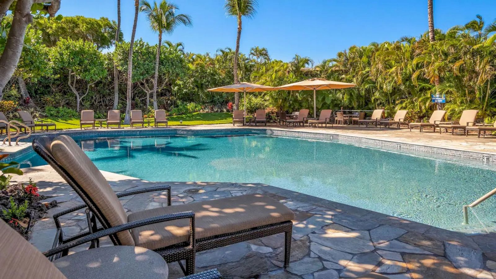 A serene outdoor pool area with lounge chairs, umbrellas, and lush greenery, inviting relaxation under the sunny sky.