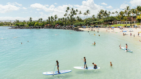 People enjoying a sunny beach with palm trees, clear water, and some paddleboarding activities. The area is lively with beachgoers.